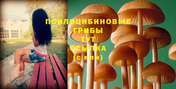 прущая мука Абдулино